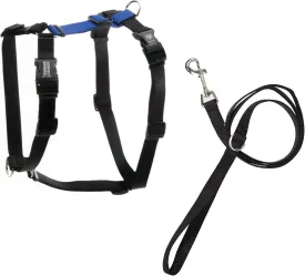 Blue-9 Pet Products No-Pull Balance Harness and Loose Leash Walking Set Dogs, Made in The USA, Blue, Medium