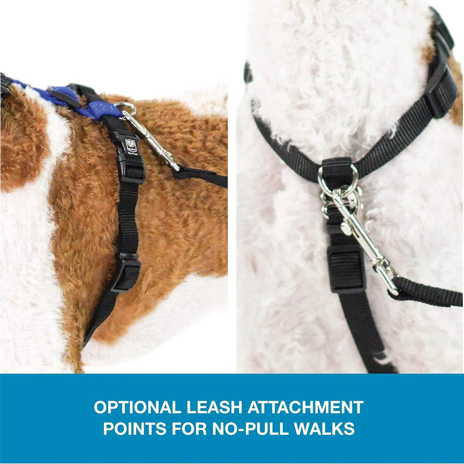 Blue-9 Pet Products No-Pull Balance Harness and Loose Leash Walking Set Dogs, Made in The USA, Blue, Medium