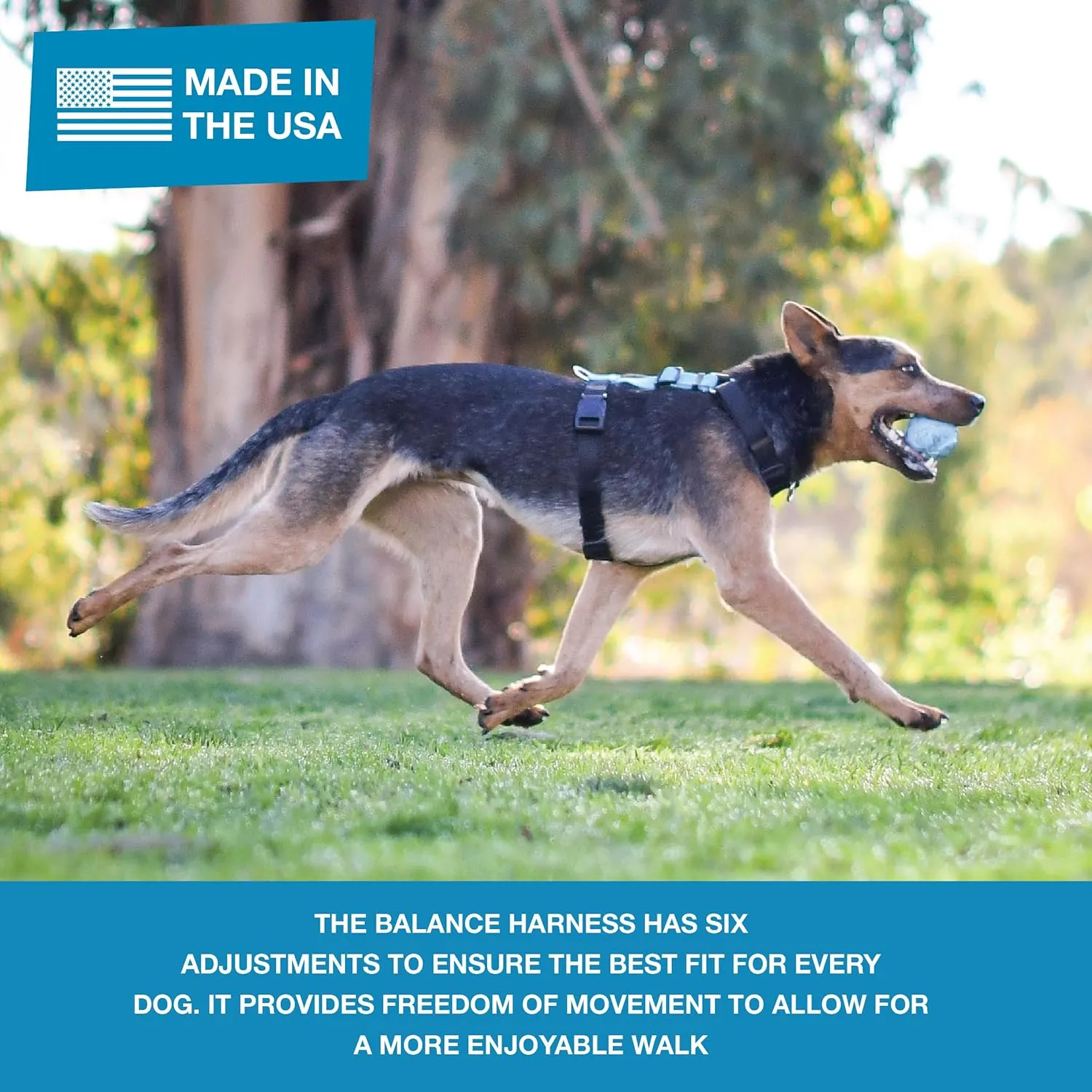 Blue-9 Pet Products No-Pull Balance Harness and Loose Leash Walking Set Dogs, Made in The USA, Blue, Medium
