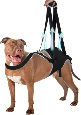 Dog Support Harness for Back Legs, Dog Sling for Large Dogs Hind Leg Support, Lift and Walk Elderly Dogs, Dog Hip Support Harness for Pet Mobility, Recovery, Small
