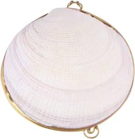 Shell Jewelry Box Shell Trinket Box Earring Necklace Ring Organizer Box for Girls Women Birthday Christamas